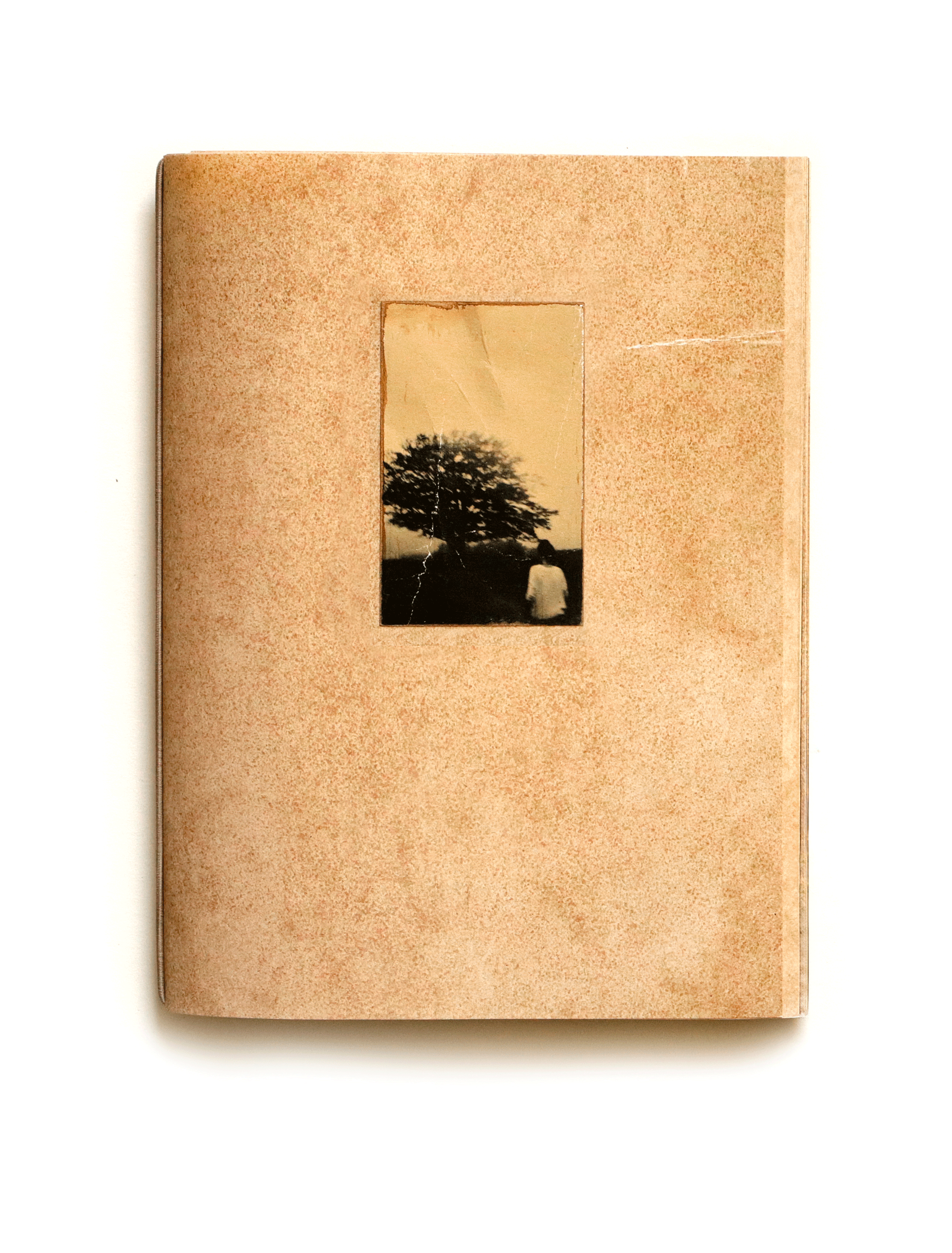 El vuelo lleva al vuelo — Juanan Requena — Ediciones Anómalas — 2025 — Signed & Numbered
