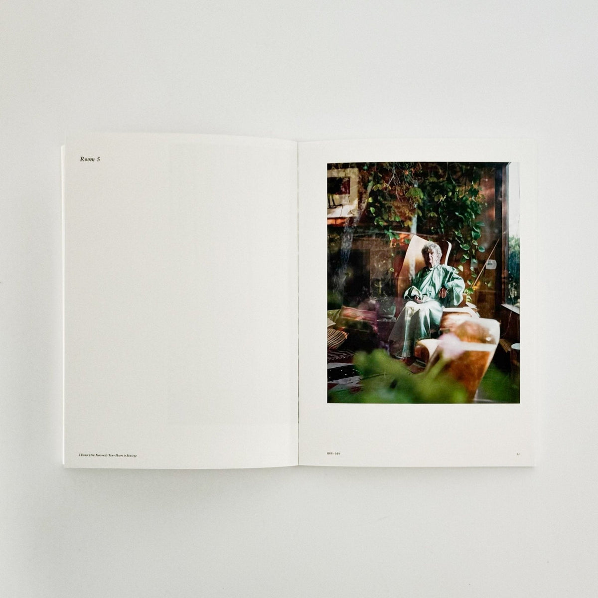 部屋についての部屋 / A Room of Rooms — Alec Soth — Tokyo Photographic Art Museum — 2024 — Cover D