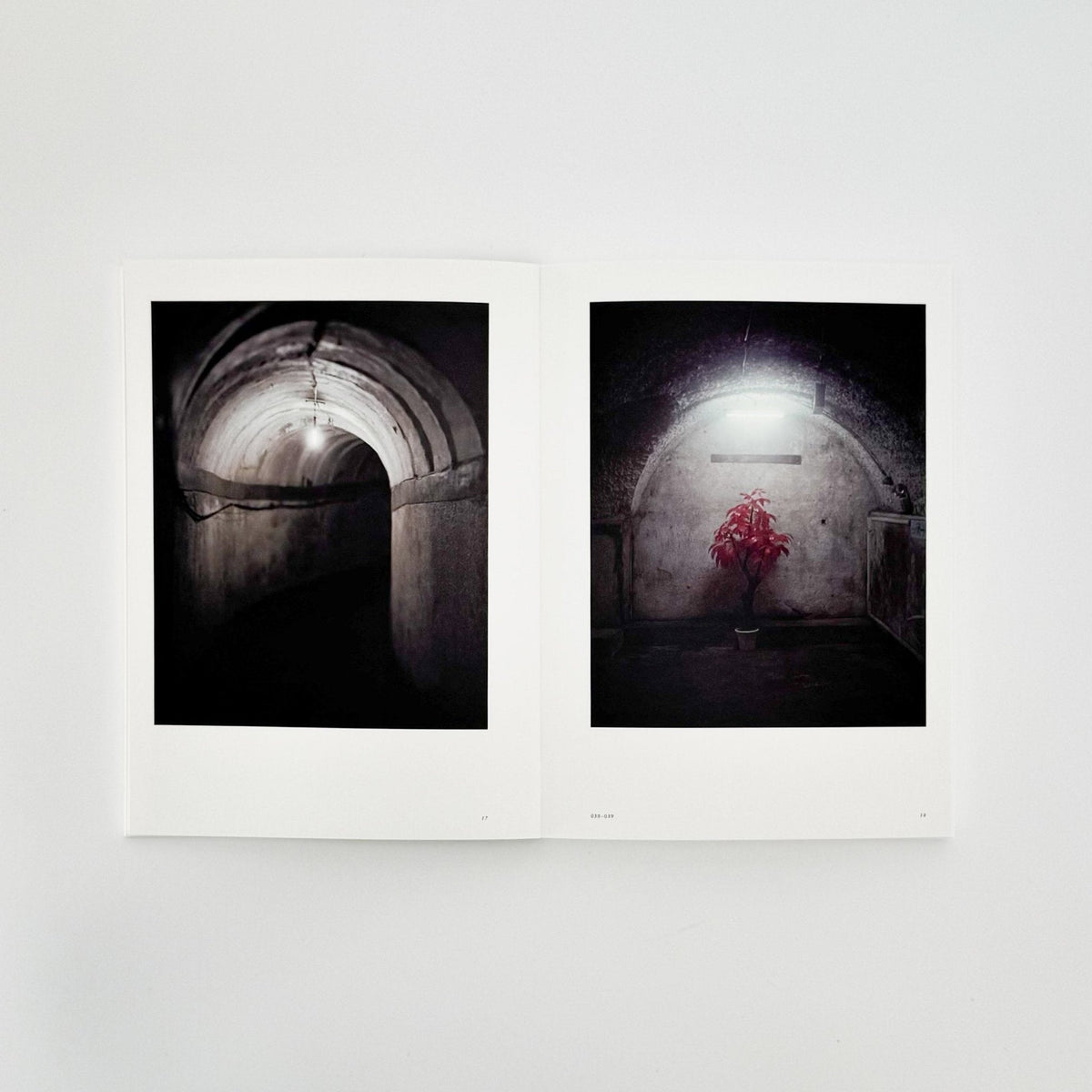 部屋についての部屋 / A Room of Rooms — Alec Soth — Tokyo Photographic Art Museum — 2024 — Cover D