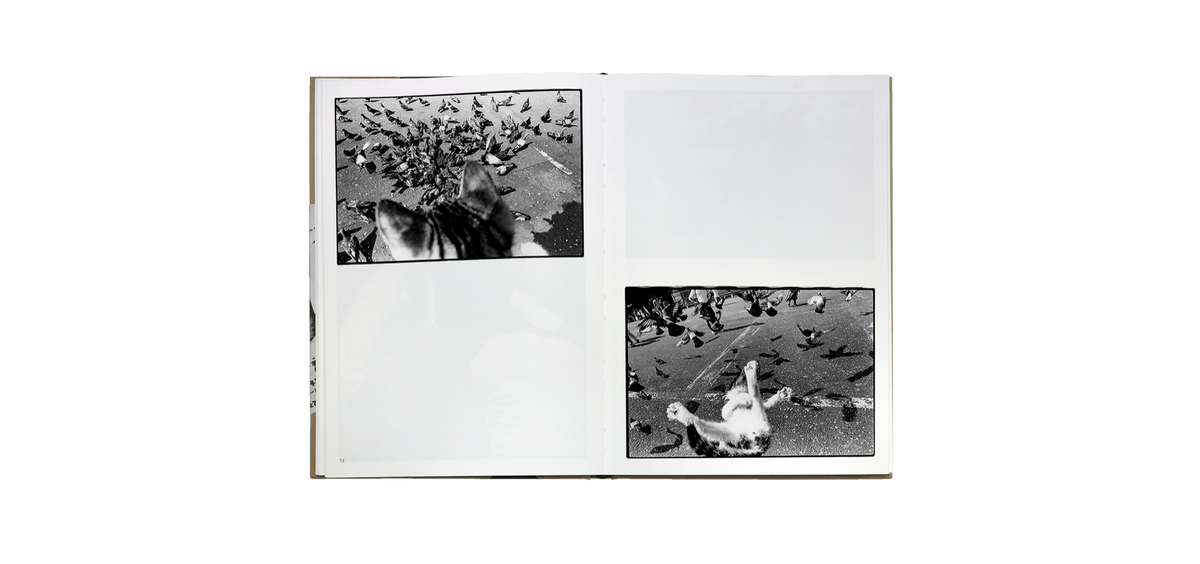 Sasuke — Masahisa Fukase — Atelier EXB