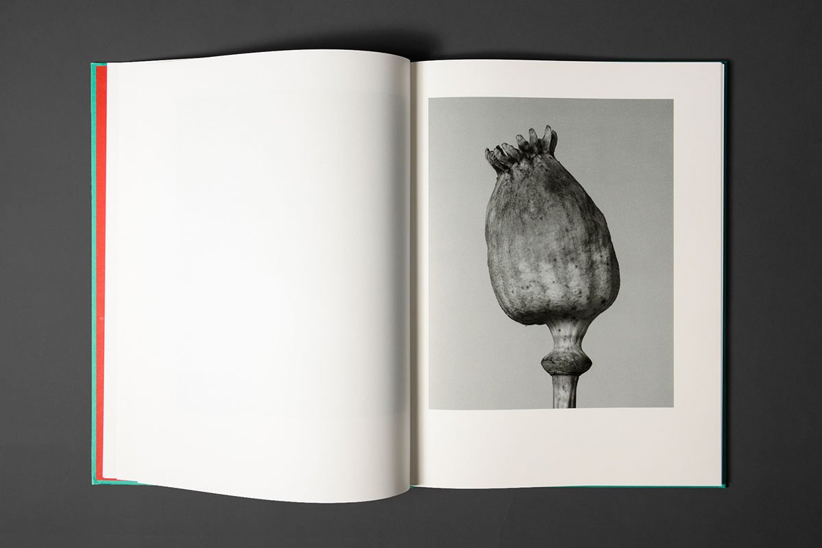 The Essential Solitude — Tereza Zelenkova — Void — 2021