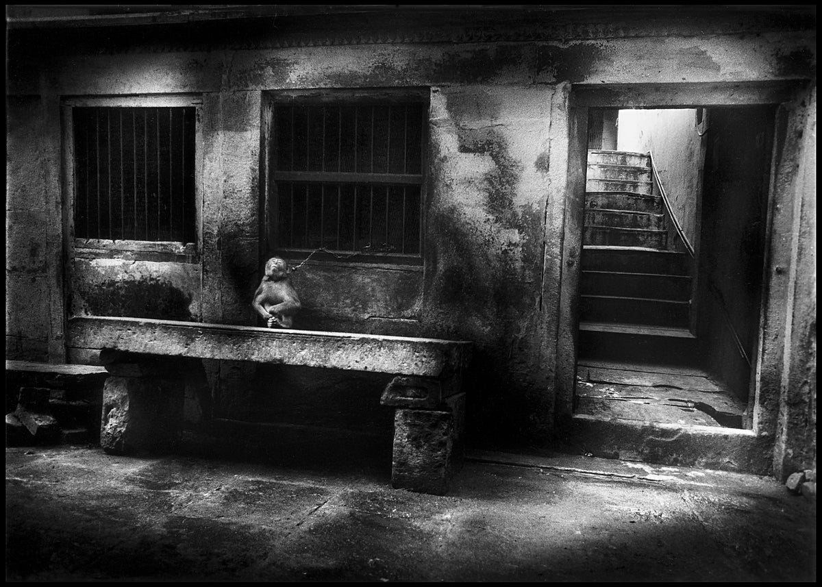 End Time City — Michael Ackerman — Atelier EXB — 2021