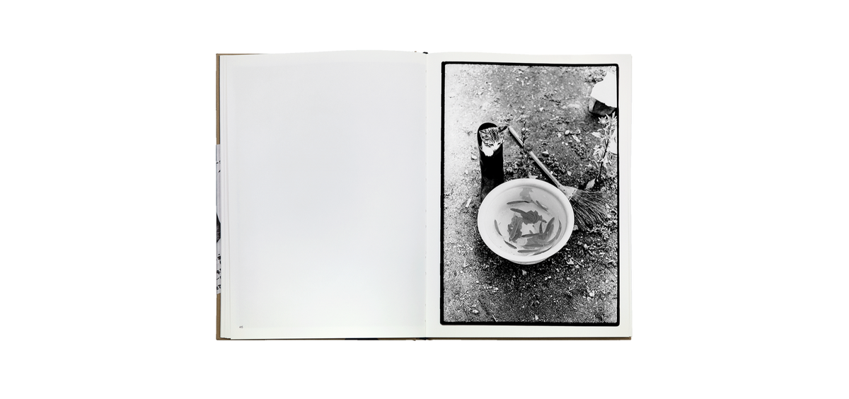 Sasuke — Masahisa Fukase — Atelier EXB