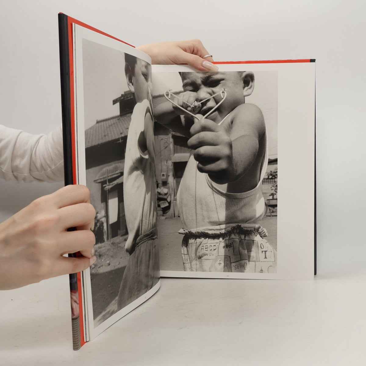 Self, Life, Death — Nobuyoshi Araki — Phaidon — 2011