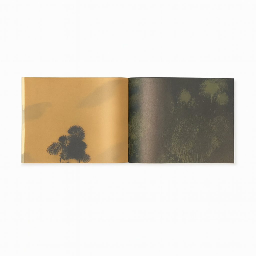 so it goes, so it goes, so it goes, so it goes — Miho Kajioka — the(M) éditions & IBASHO — 2025