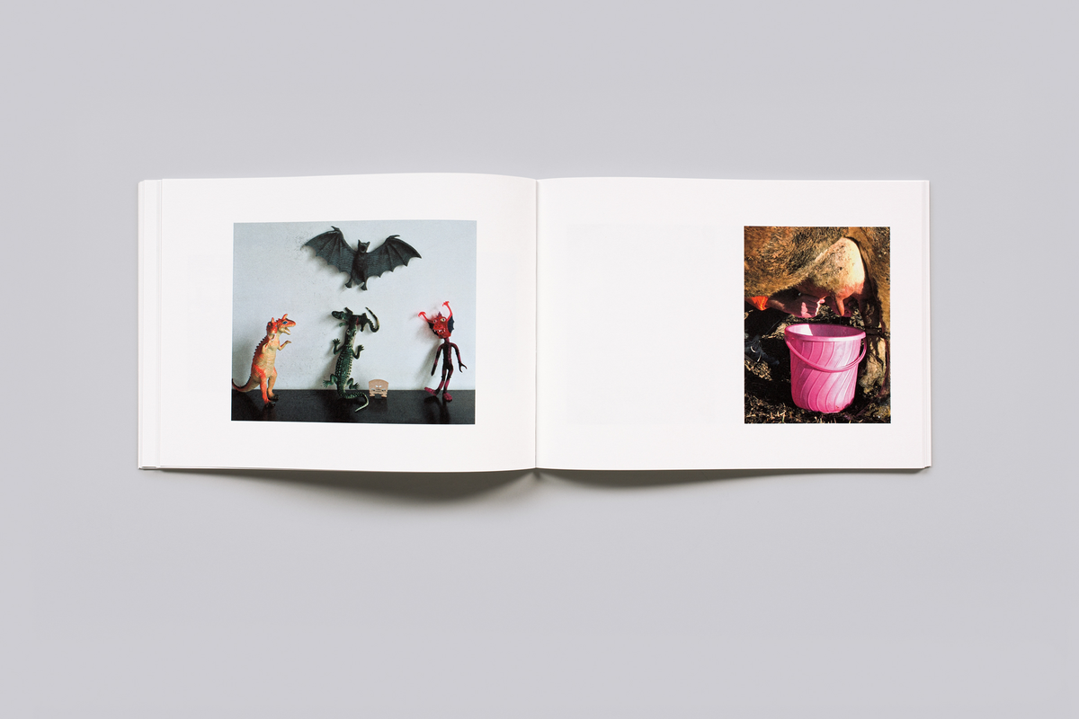 Leben und Tod — Nobuyoshi Araki & Juergen Teller — Steidl — 2020
