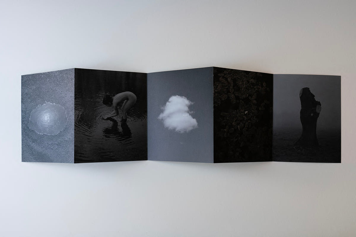 Res no passa dues vegades / Nothing Happens Twice — Israel Ariño — Ediciones Anómalas — 2024