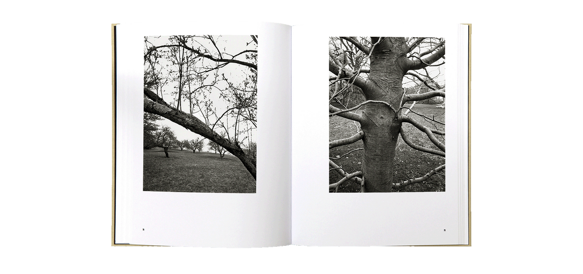 Une infime distance — Nicholas Nixon — Atelier EXB