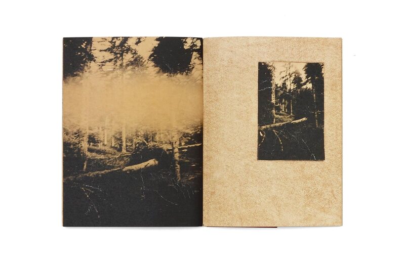 El vuelo lleva al vuelo — Juanan Requena — Ediciones Anómalas — 2025 — Signed & Numbered