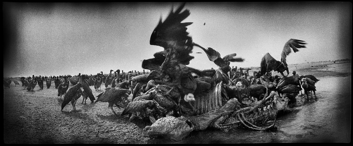 End Time City — Michael Ackerman — Atelier EXB — 2021