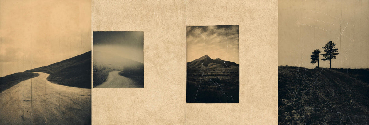 El vuelo lleva al vuelo — Juanan Requena — Ediciones Anómalas — 2025 — Signed & Numbered