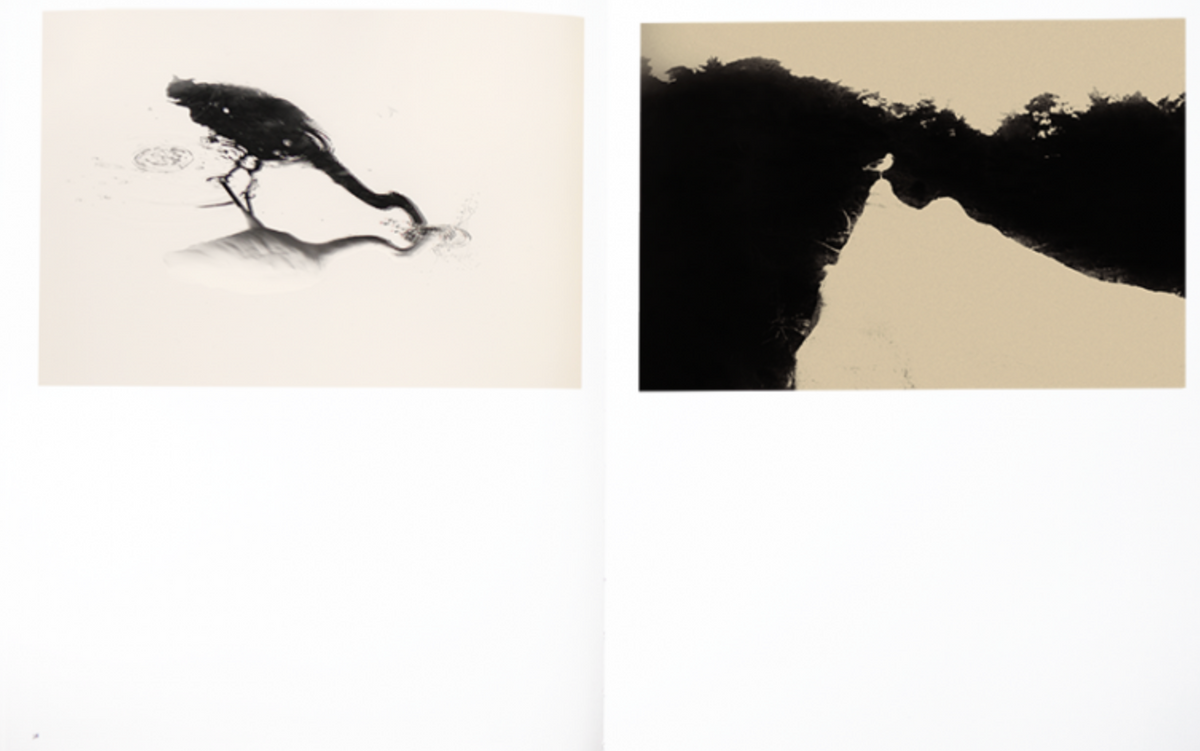 Des oiseaux — Albarrán Cabrera — Albarrán Cabrera — Atelier EXB