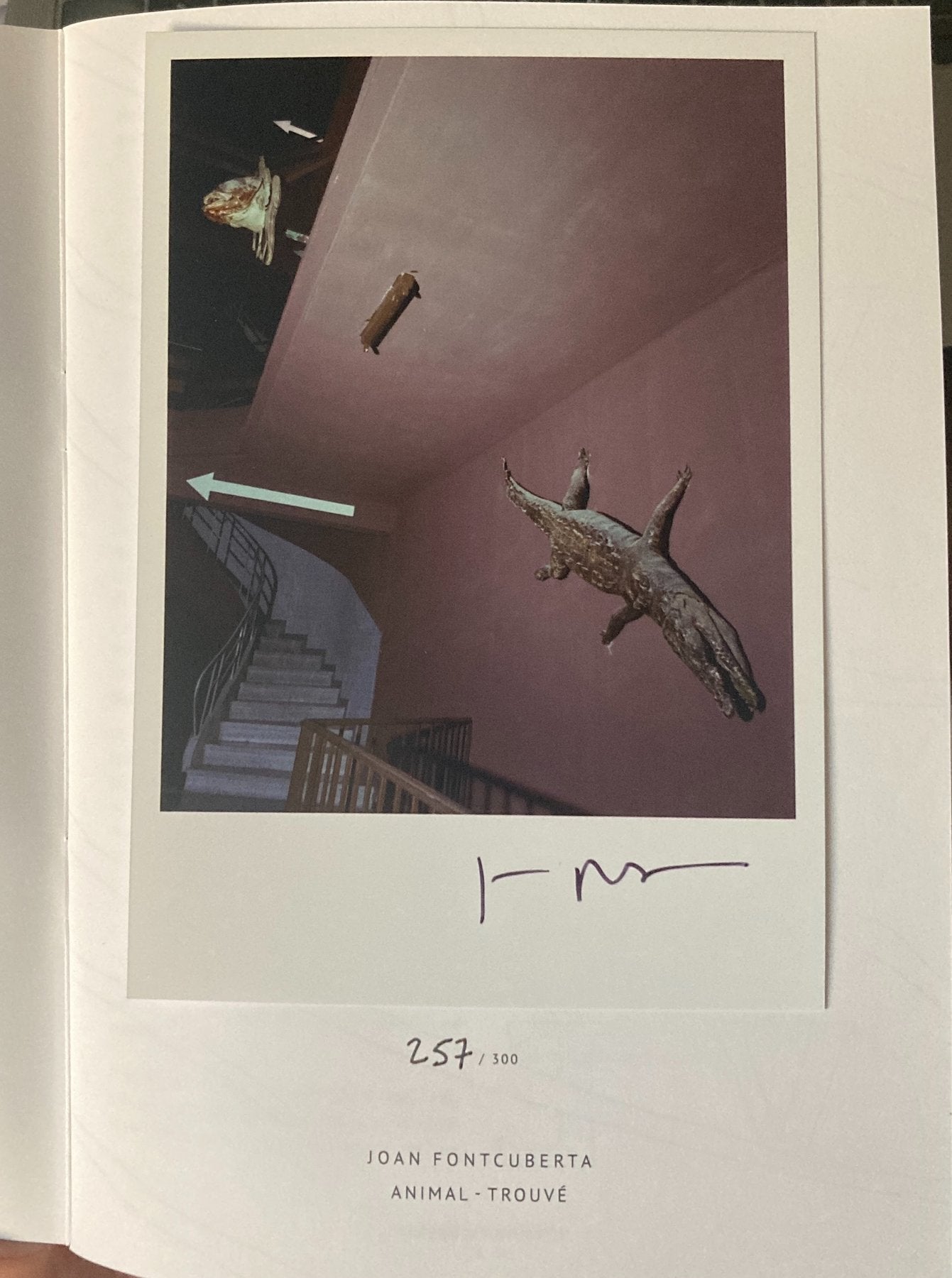 Animal Trouvé — Joan Fontcuberta, Editions Bessard Zine N°15, 2014, Limited Edition of 300 + signed C-Print