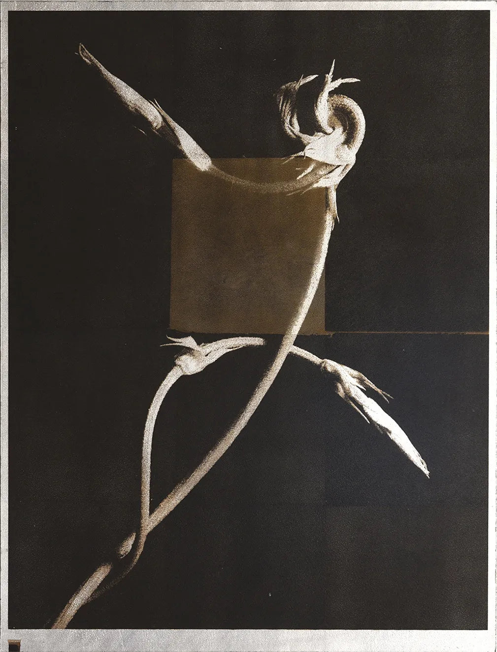 As the twig is bent, so grows the tree. — Norio Takasugi — IBASHO & the(M) éditions — 2025