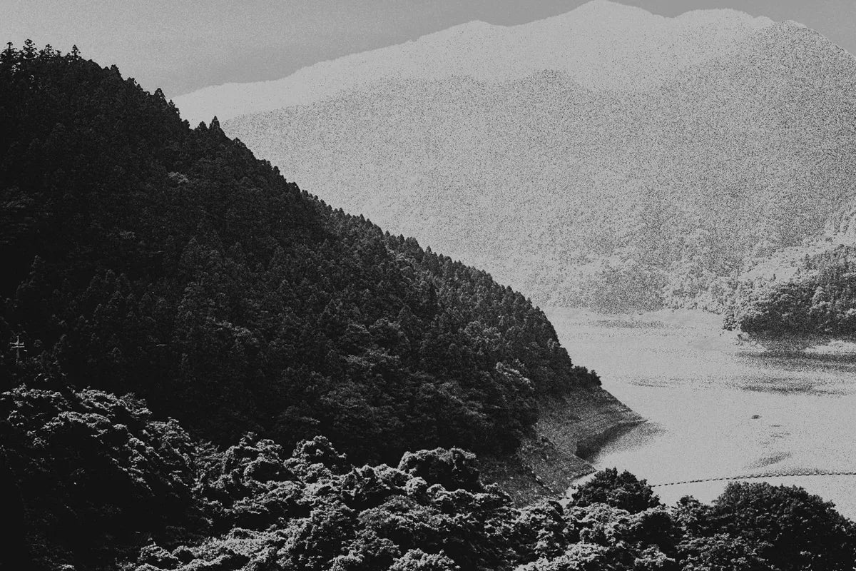 Friction — Margaret Lansink — IBASHO & the(M) éditions — 2022