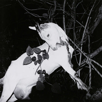 Tokyo Modern Pictorial — Issei Suda — Zen Foto Gallery — 2020