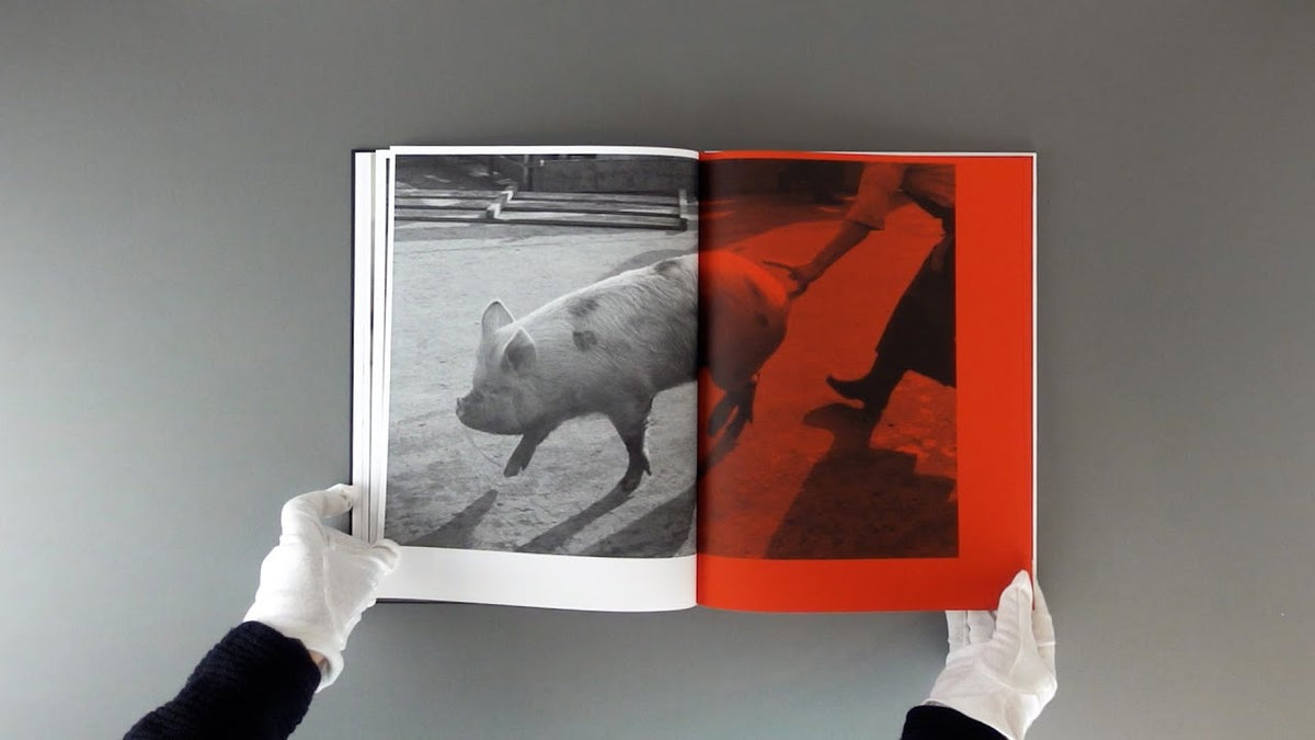 Kill the Pig — Masahisa Fukase — IBASHO & the(M) éditions — 2021