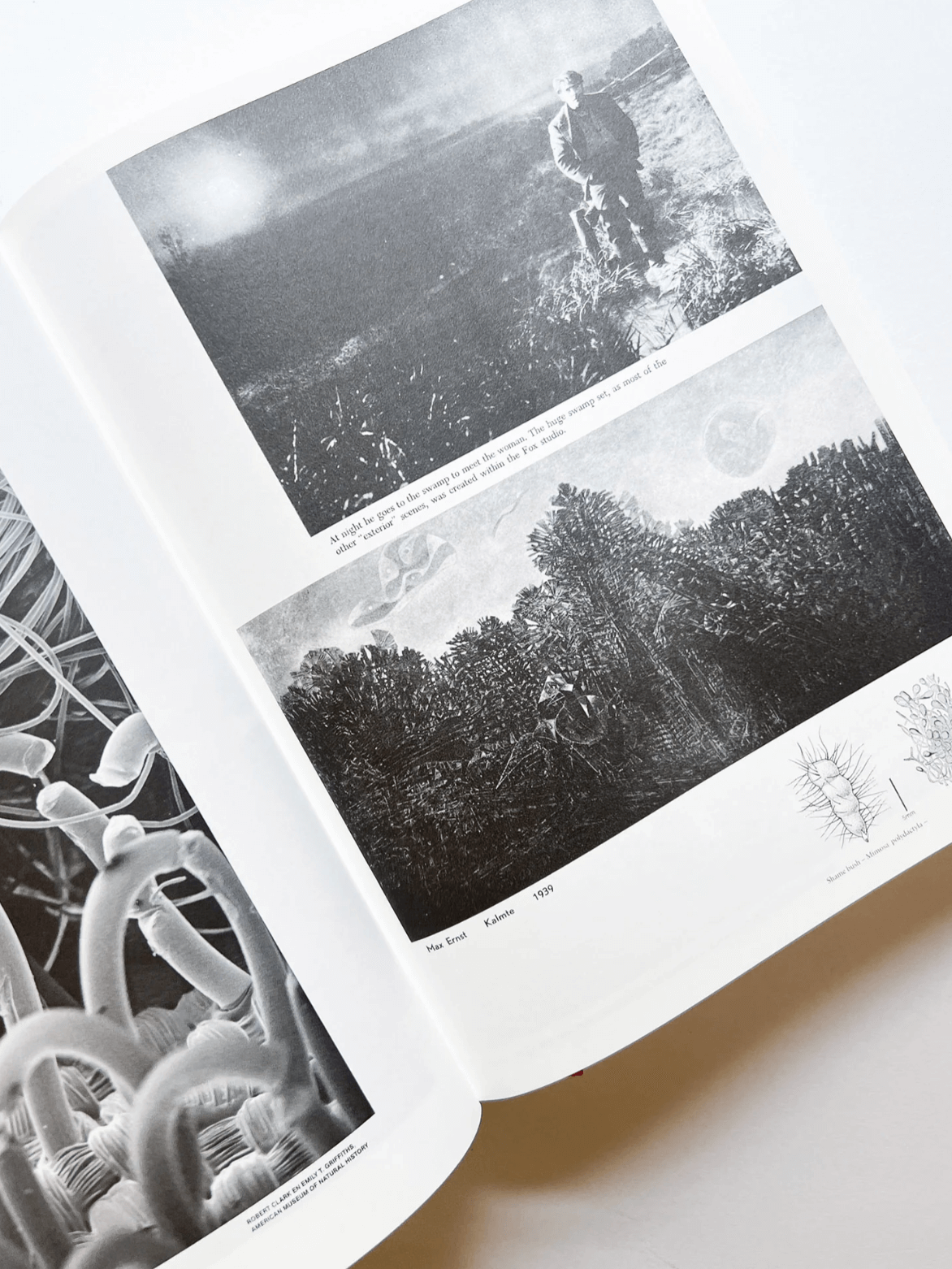 Enciclopedia Paralela n.º 2 (Edición Revisada) — Batia Suter