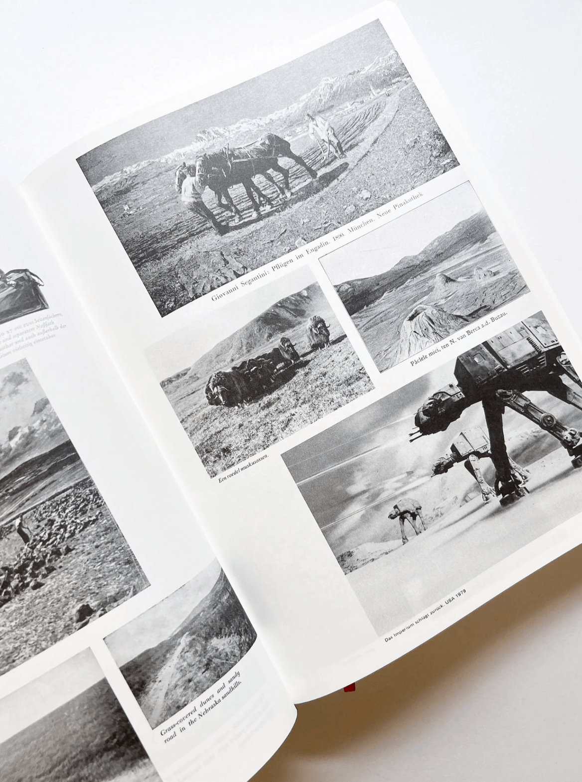 Enciclopedia Paralela n.º 2 (Edición Revisada) — Batia Suter