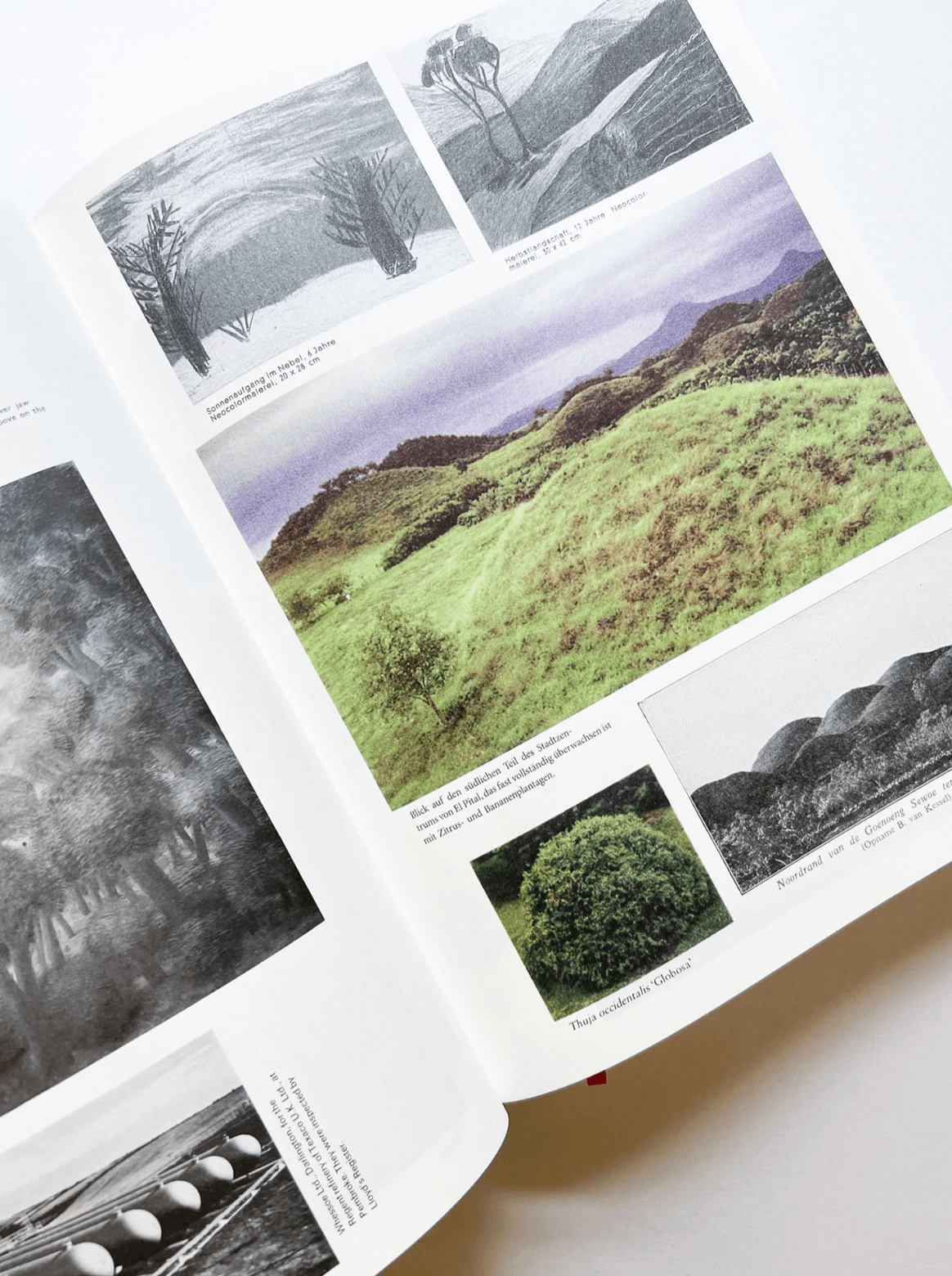 Enciclopedia Paralela n.º 2 (Edición Revisada) — Batia Suter