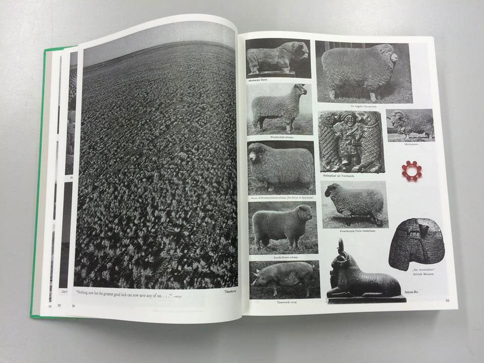 Enciclopedia Paralela n.º 2 (Edición Revisada) — Batia Suter