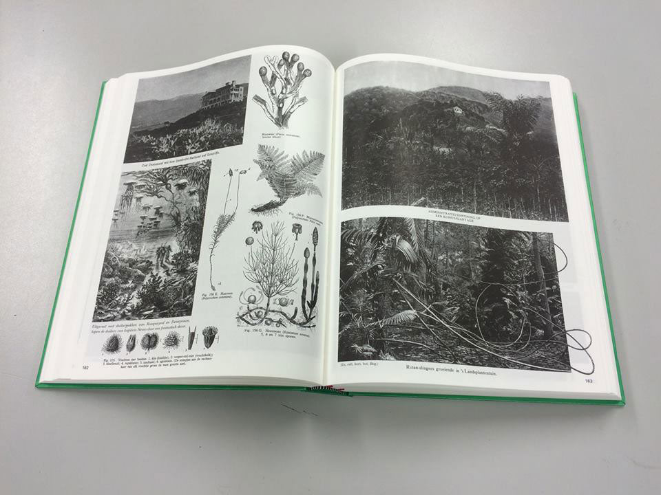 Enciclopedia Paralela n.º 2 (Edición Revisada) — Batia Suter