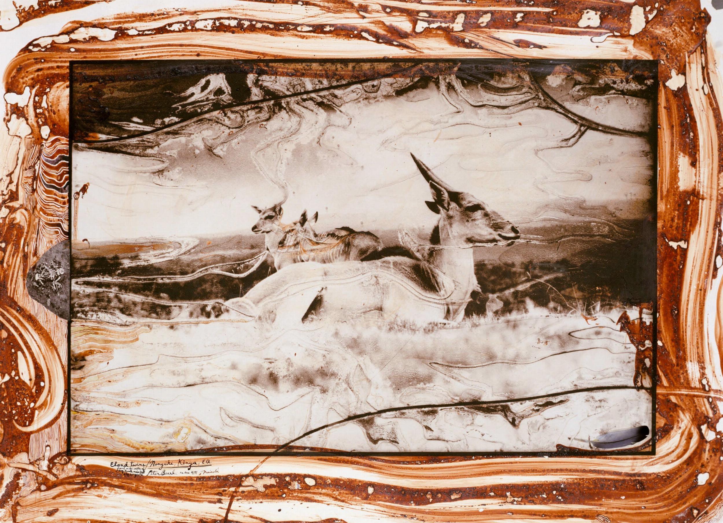 Peter Beard – 2023 Edition