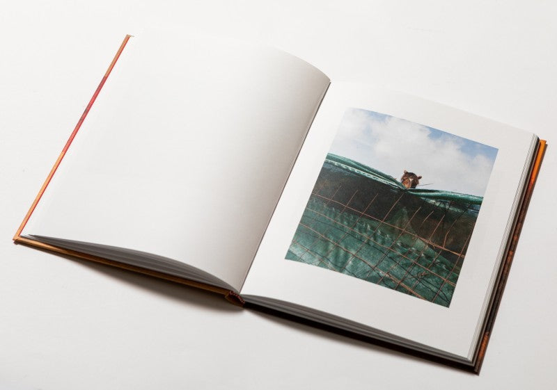 RAZA — Tono Arias, 2022 (signed & numbered edition)