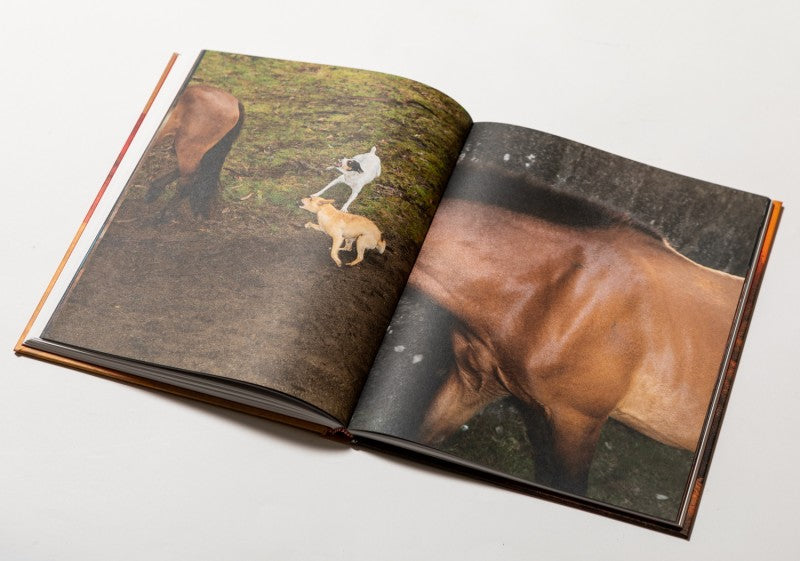 RAZA — Tono Arias, 2022 (signed & numbered edition)