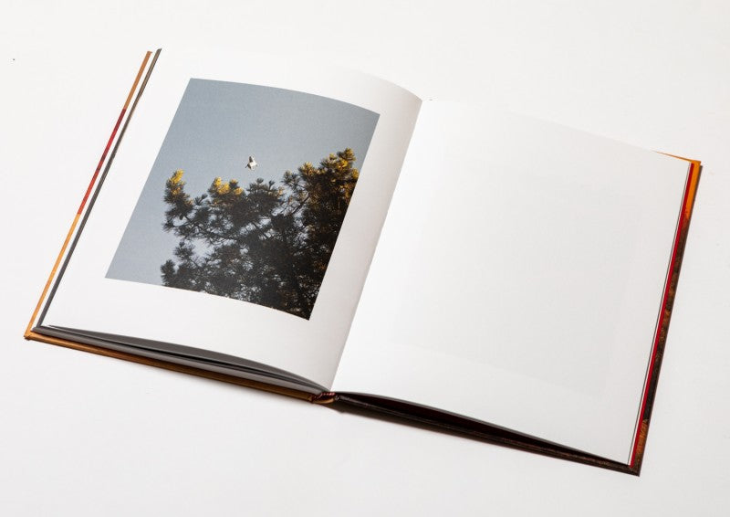 RAZA — Tono Arias, 2022 (signed & numbered edition)