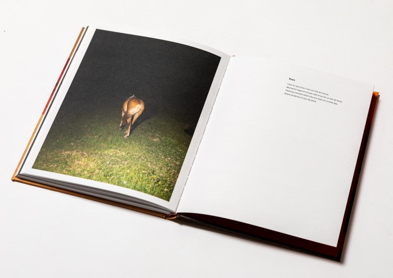 RAZA — Tono Arias, 2022 (signed & numbered edition)