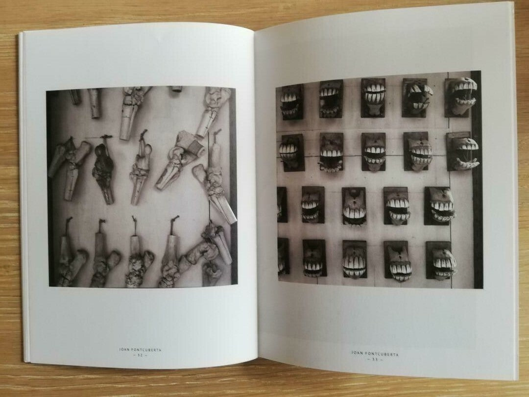 Animal Trouvé — Joan Fontcuberta, Editions Bessard Zine N°15, 2014, Limited Edition of 300 + signed C-Print