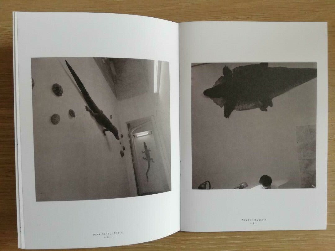 Animal Trouvé — Joan Fontcuberta, Editions Bessard Zine N°15, 2014, Limited Edition of 300 + signed C-Print
