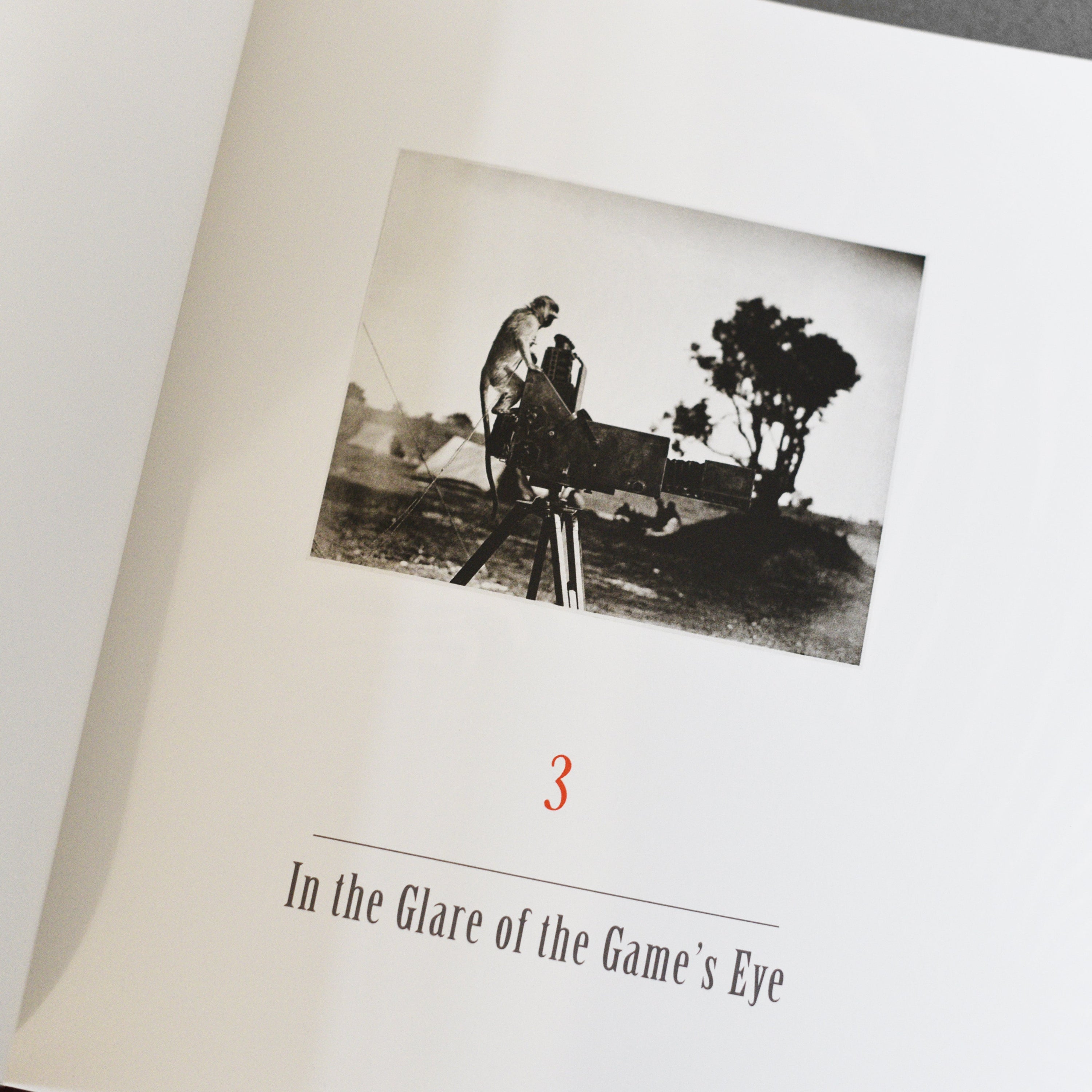 The End of the Game – Peter Beard –  2020