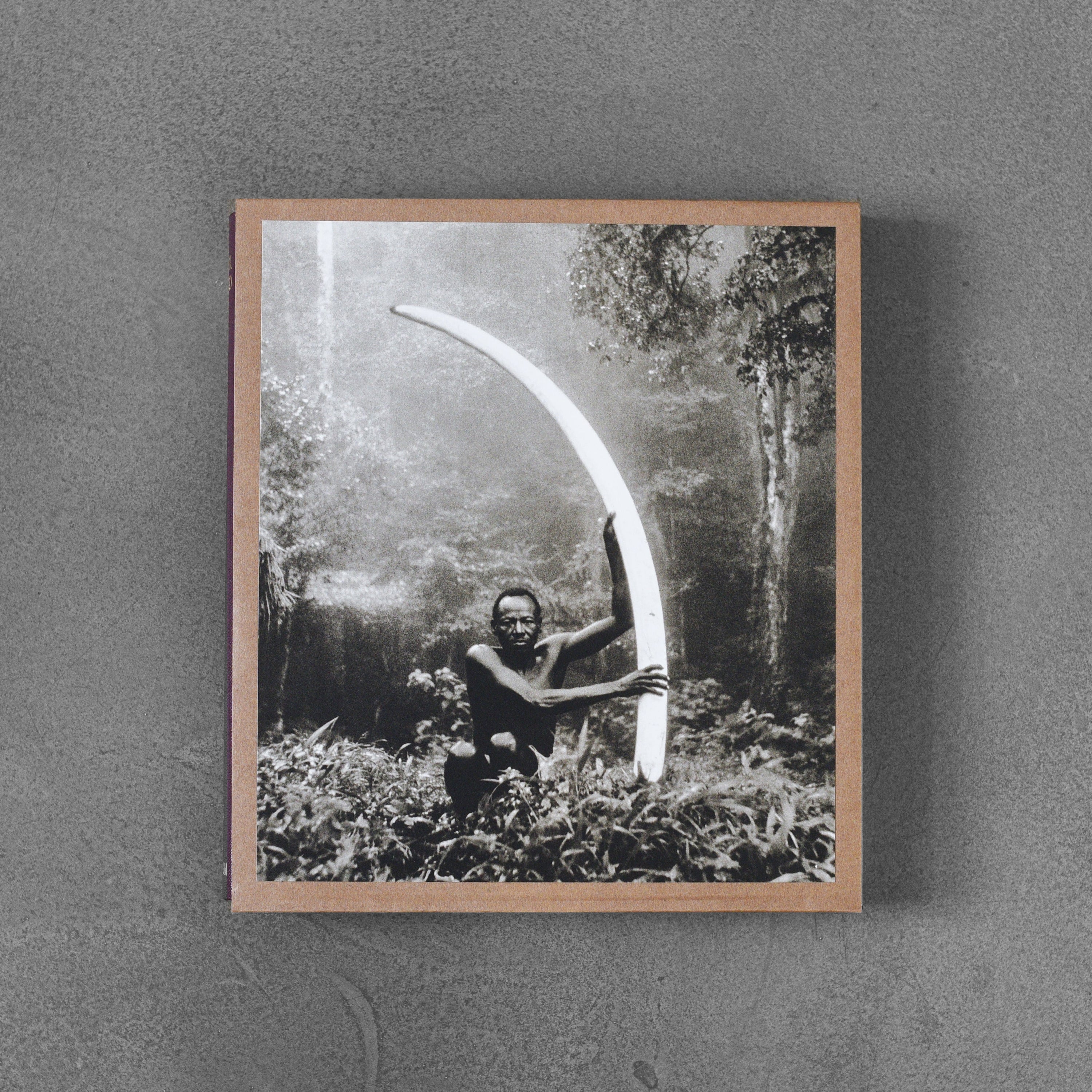 The End of the Game – Peter Beard –  2020