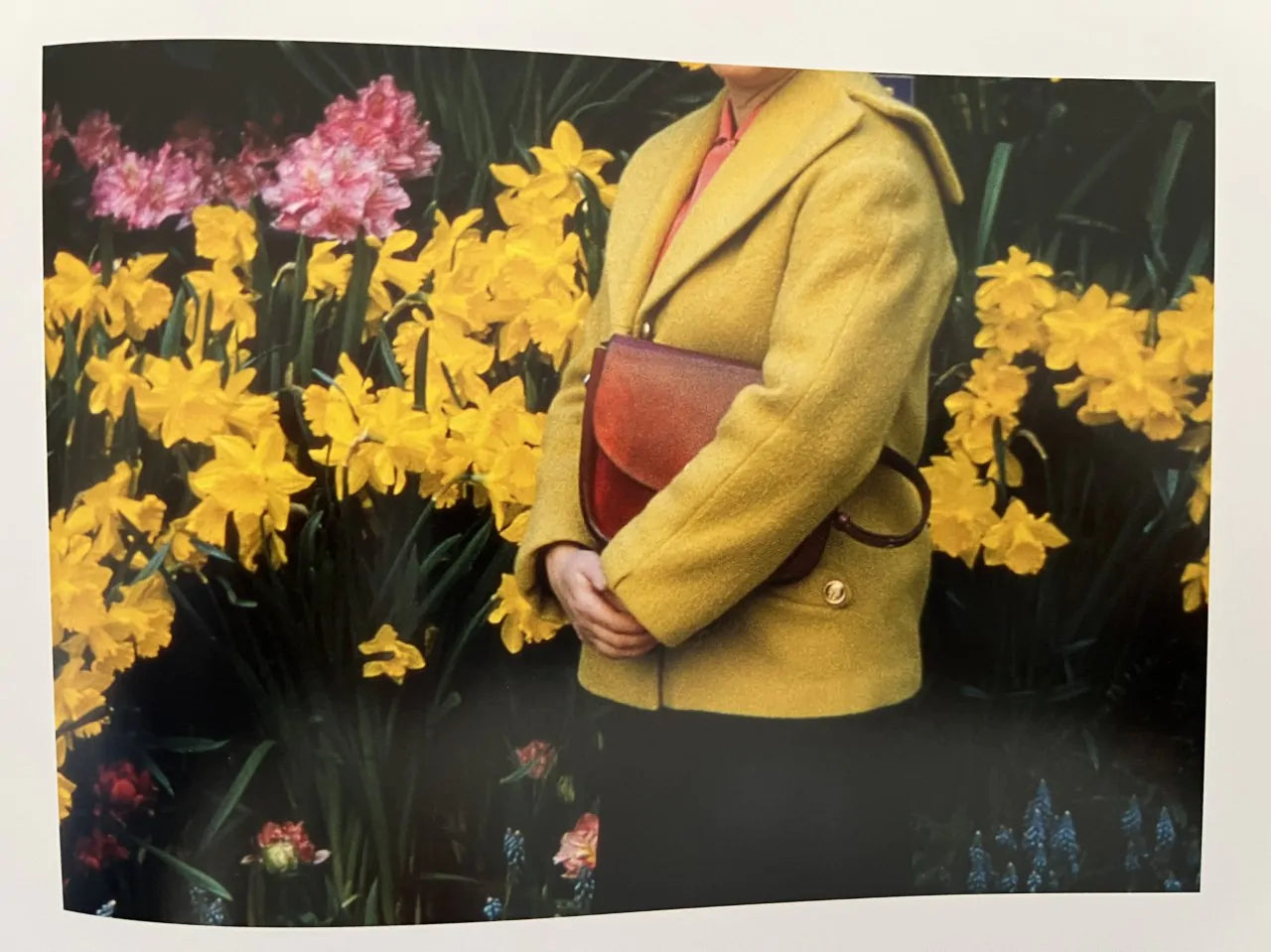 Head’s Up — The Anonymous Project by Lee Shulman, 2022, Limited Edition of 500, Editions Bessard